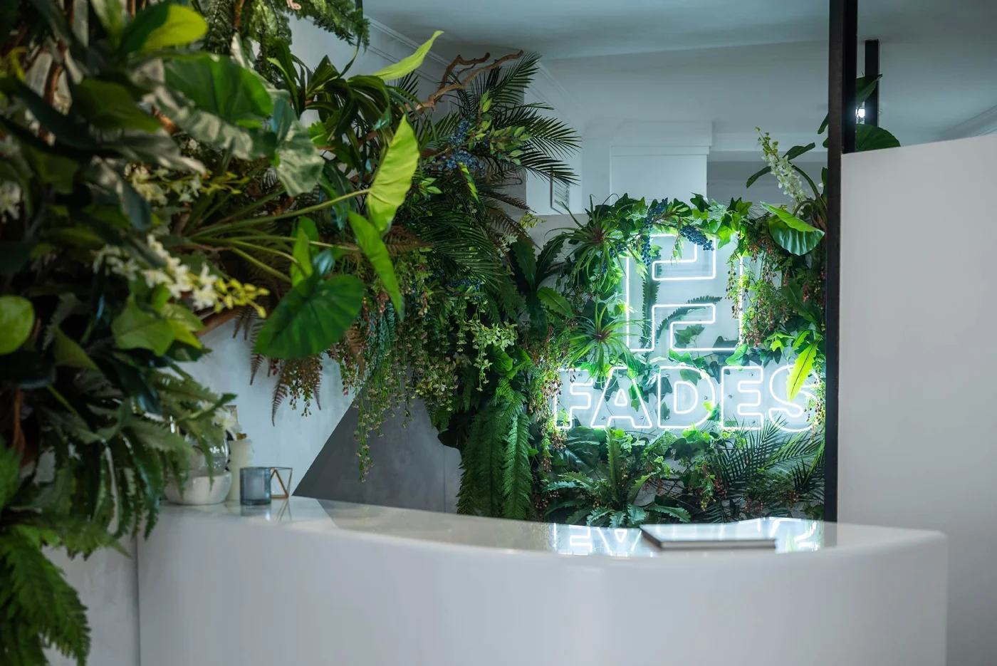 Interior tropical de la Clínica Dental Fades con letrero SPA Dental Fades y plantas